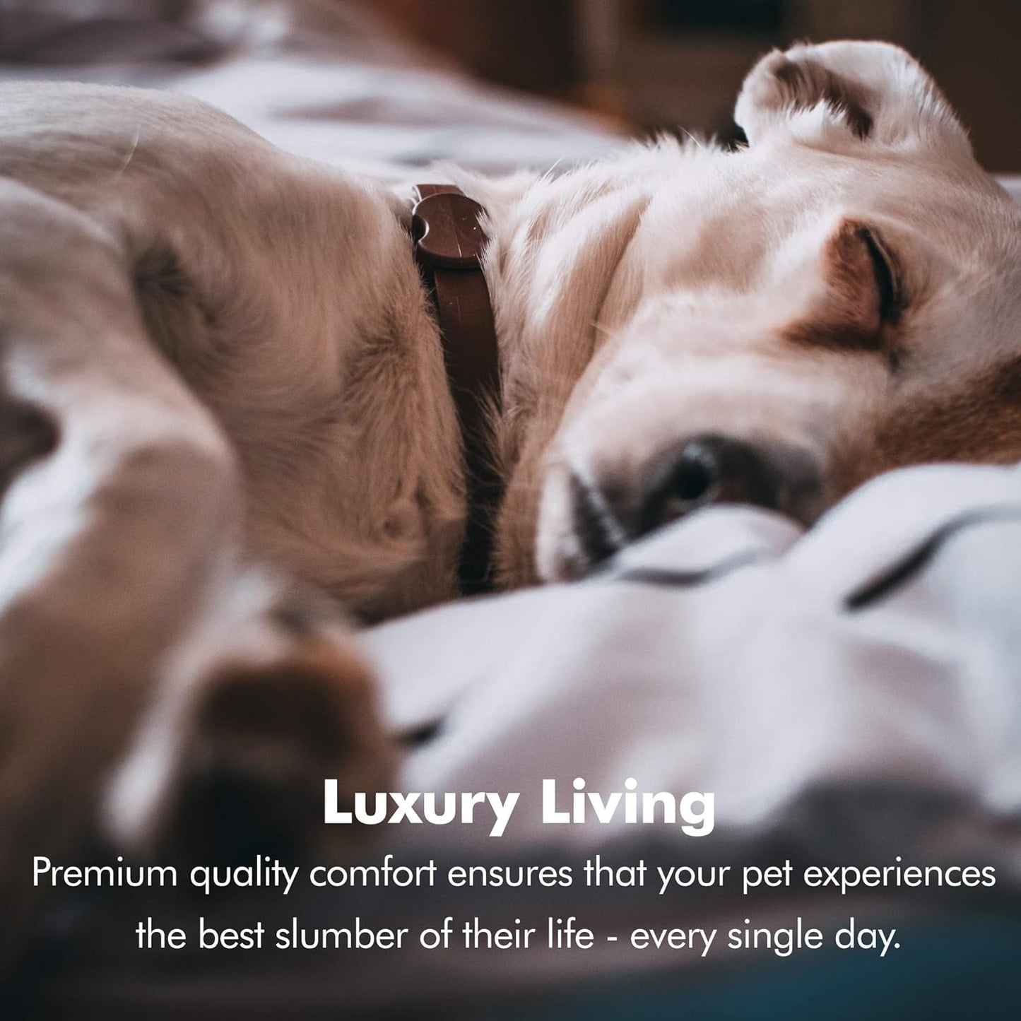 Luxurious Small Dog Bed with Orthopedic Memory Foam - Calming Couch with Water-Resistant Liner, Washable Cover, and Non-Slip Bottom in Chester Khaki Beige
